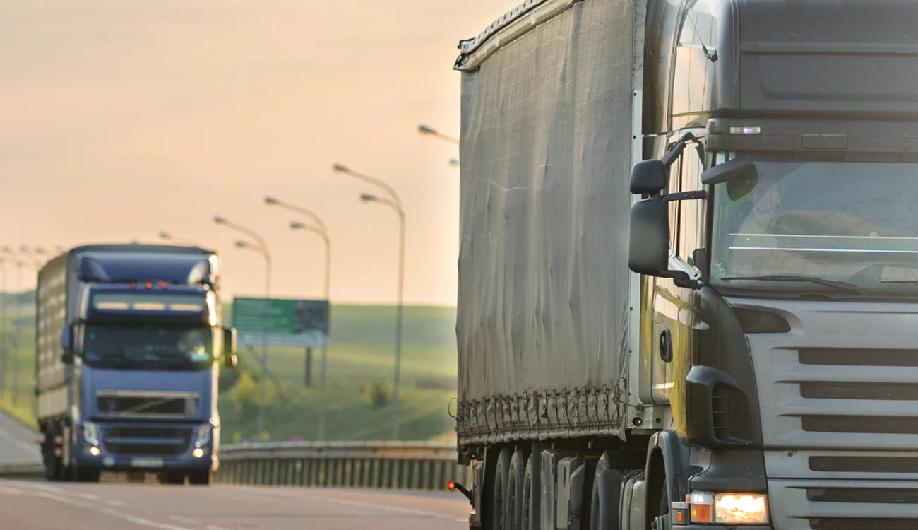 Transport w fazie przetrwania